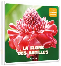 La flore des Antilles