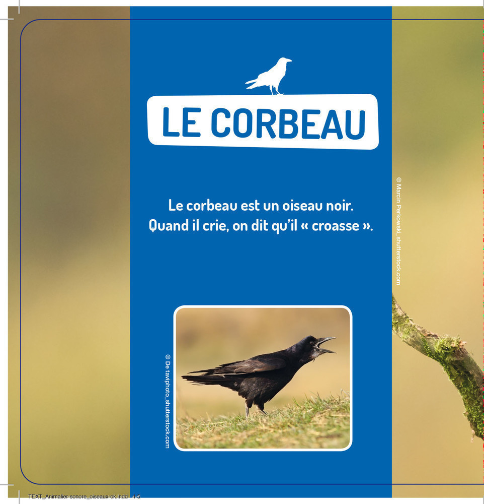 Les Oiseaux