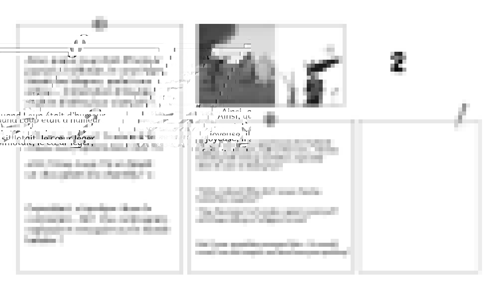 KAMISHIBAI LE LOUP QUI APPRIVOISAIT SES EMOTIONS KAMISHIBAI LE LOUP QUI APPRIVOISAIT SES EMOTIONS