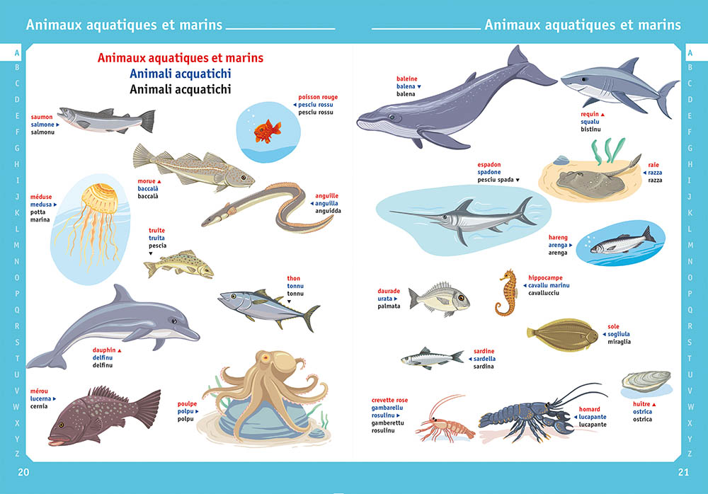 MON PREMIER IMAGIER FRANCAIS/CORSE - NOUVELLE EDITION MON PREMIER IMAGIER FRANCAIS/CORSE - NOUVELLE EDITION