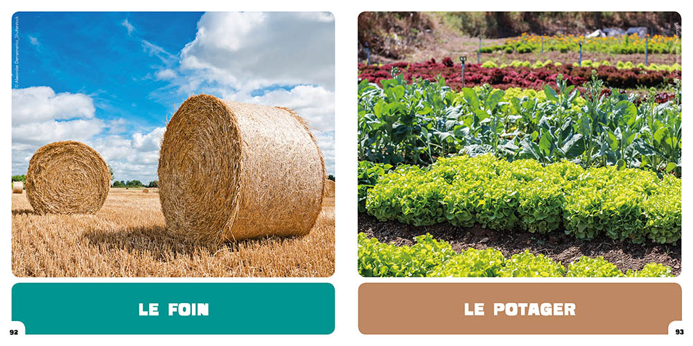 Je Découvre Les Animaux De La Ferme