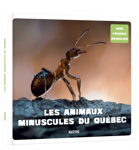 Les Animaux Minuscules Du Québec