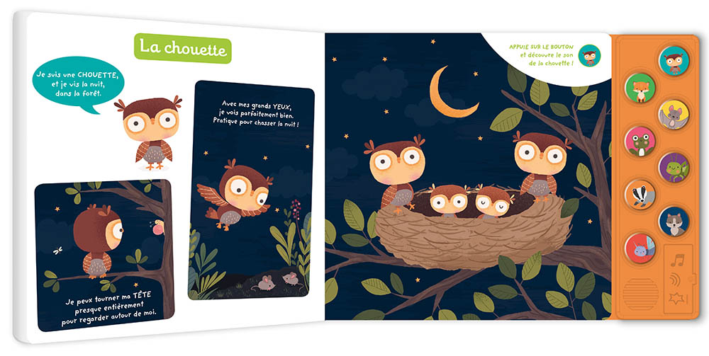 Je Découvre Les Animaux De La Nuit