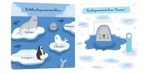 Les Animaux Du Froid