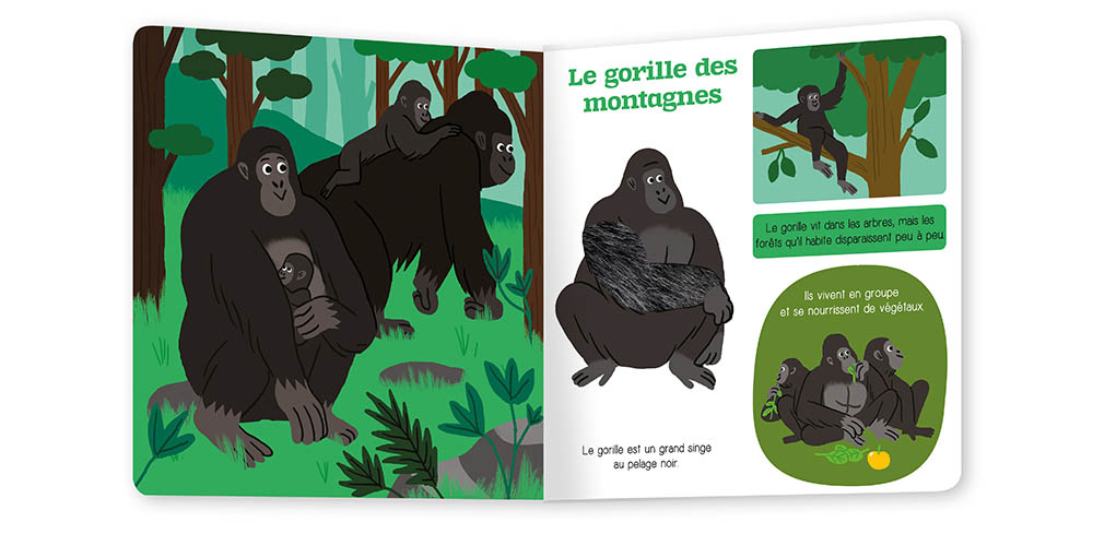 Les Animaux À Protéger