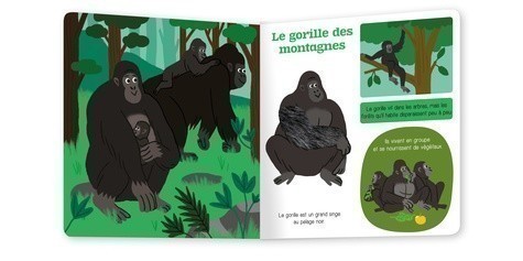 Les Animaux À Protéger