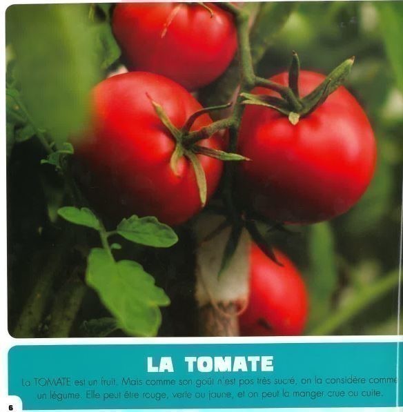 MES PREMIERS ALIMENTS