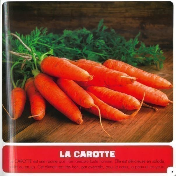 Mon Premier Doc Photo  - Mes Premiers Aliments