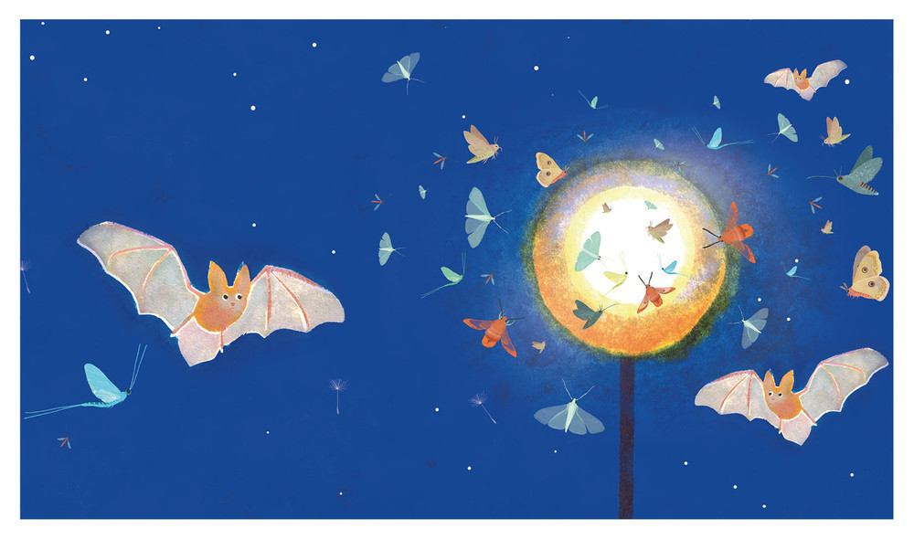 KAMISHIBAI UNE NUIT