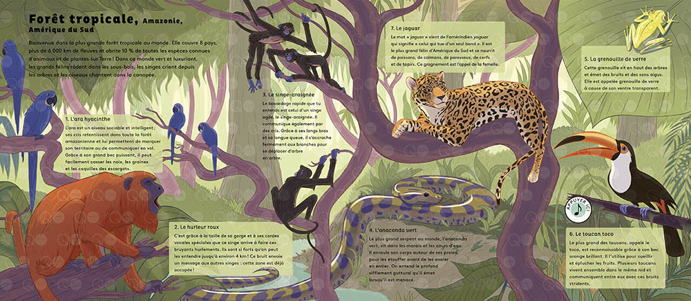 LE MONDE DES FORETS 