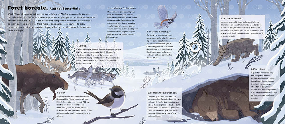 LE MONDE DES FORETS 
