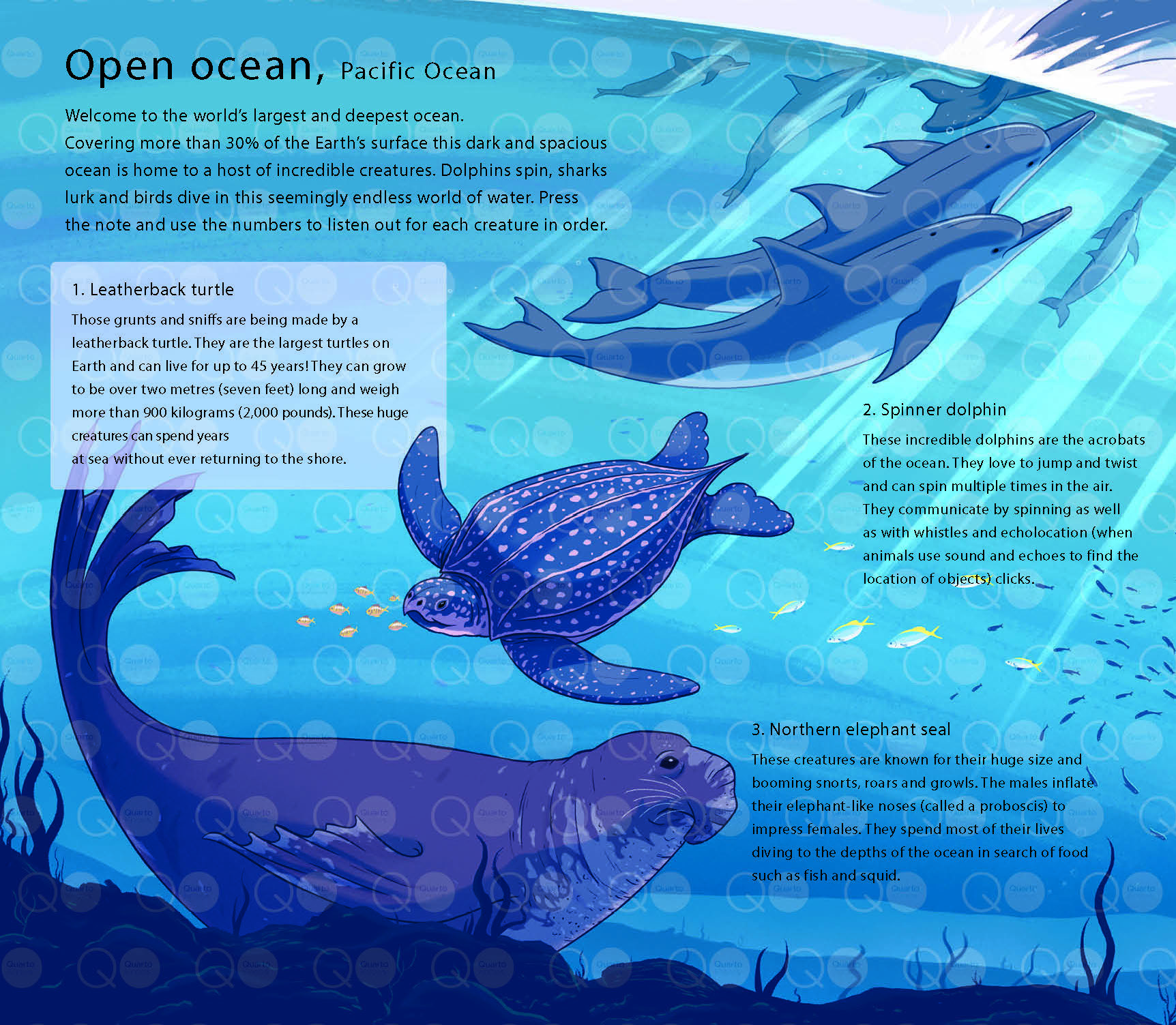 LE MONDE DES OCEANS