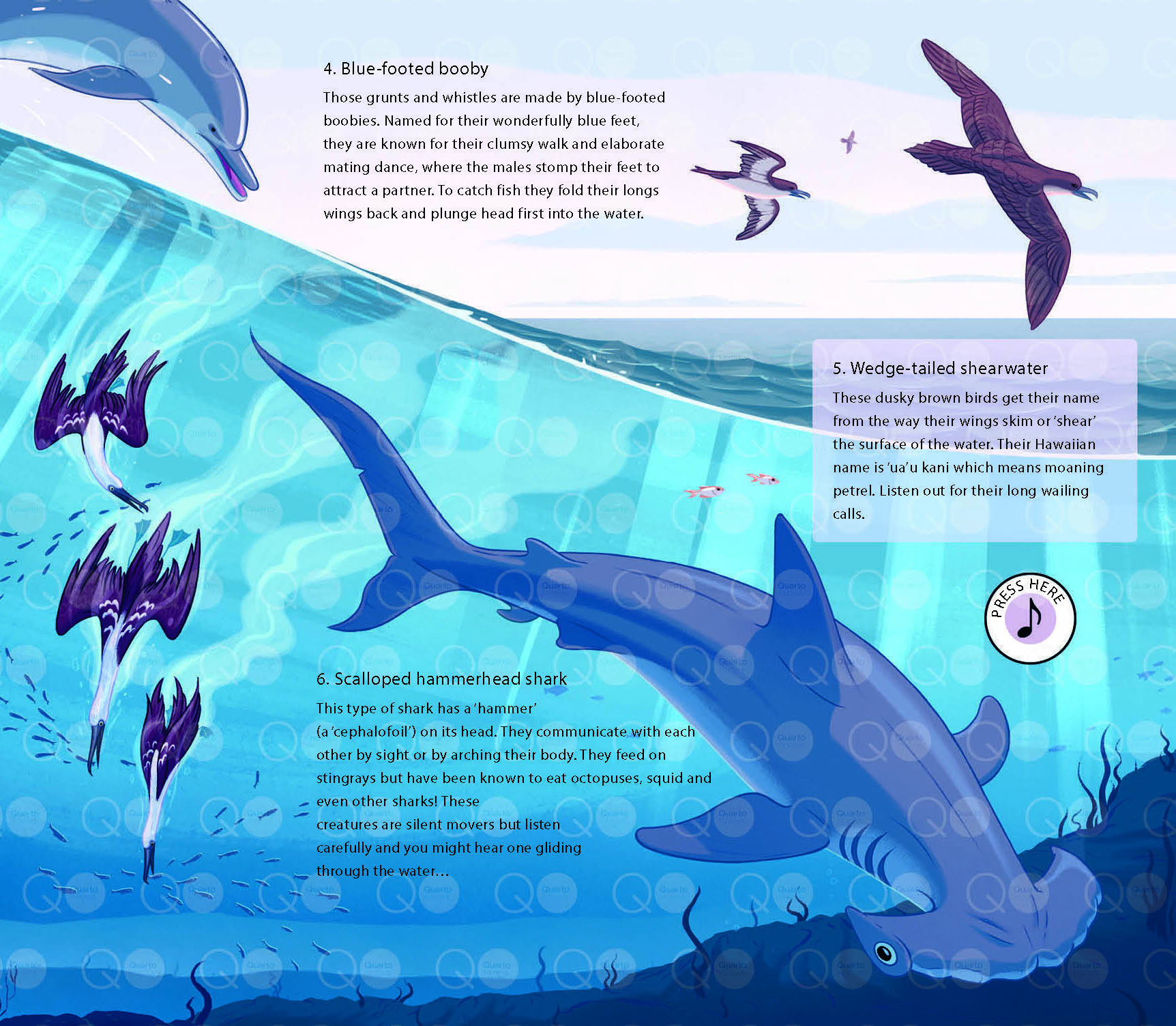 LE MONDE DES OCEANS