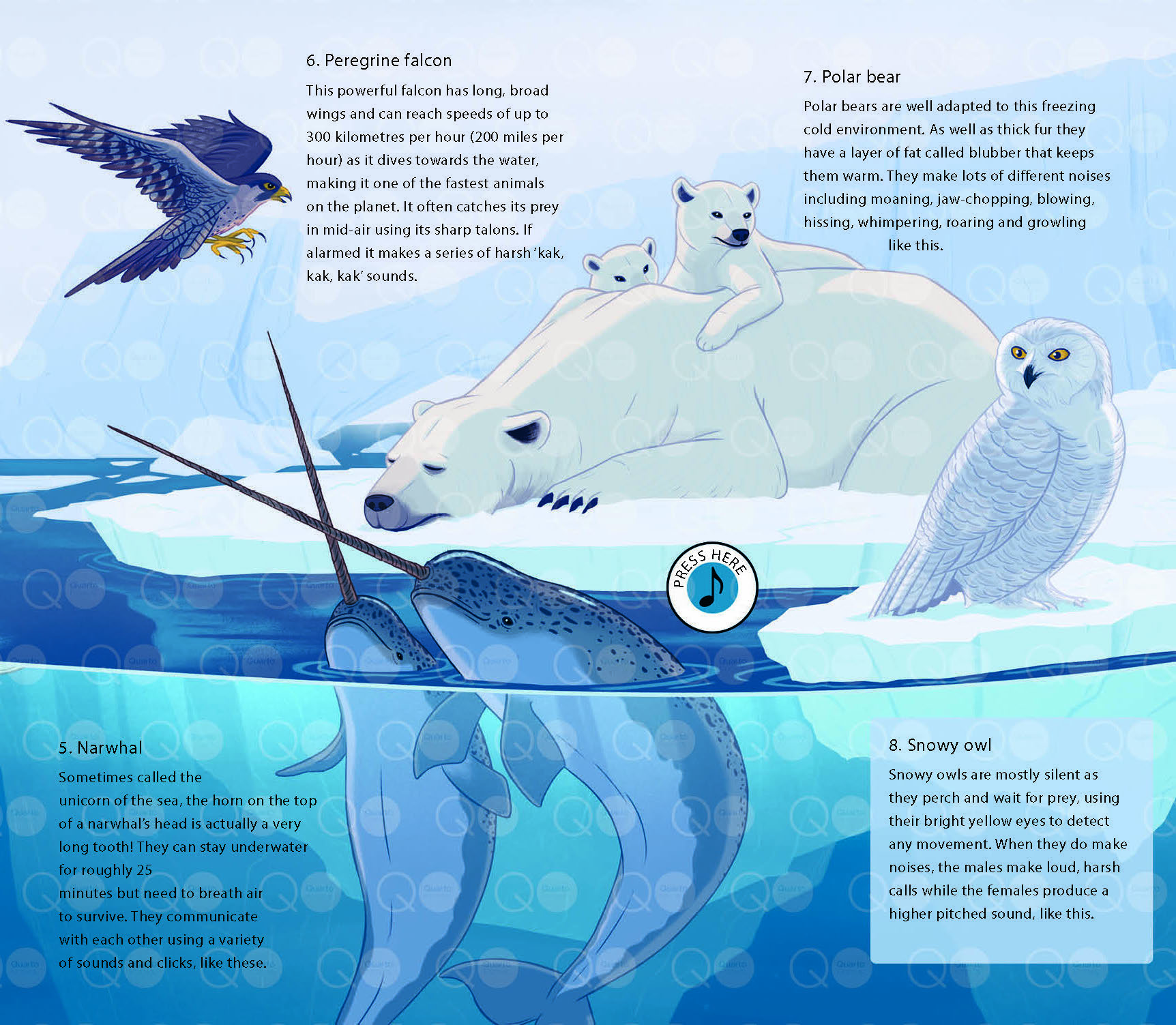LE MONDE DES OCEANS
