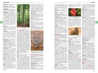 Dictionnaire Encyclopédique Auzou 2020 Dictionnaire Encyclopédique Auzou 2020