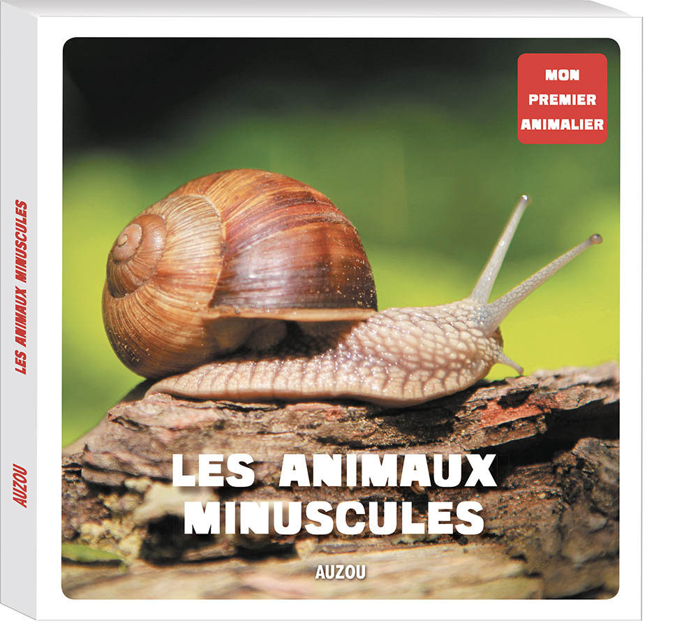 Les Animaux Minuscules