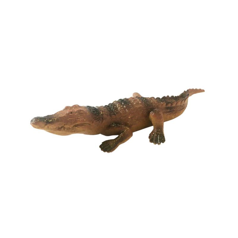 Descubre Los Animales Del Mundo