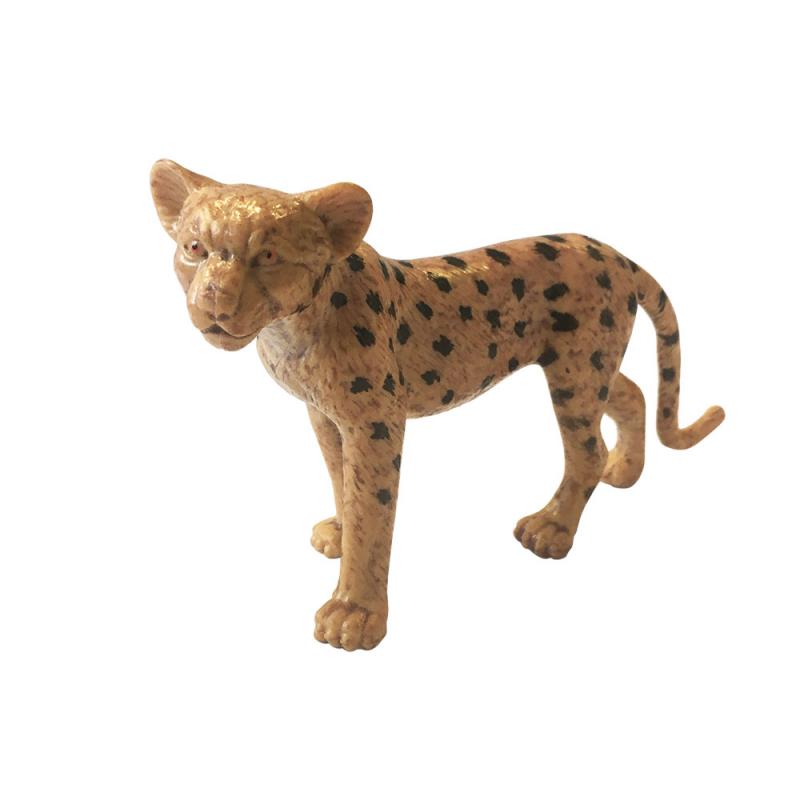 Descubre Los Animales Del Mundo