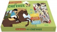 À la découverte des chevaux