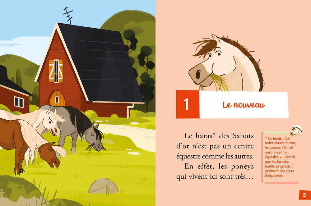 Bienvenue Au Poney Club Tome 1 - Le Nouveau