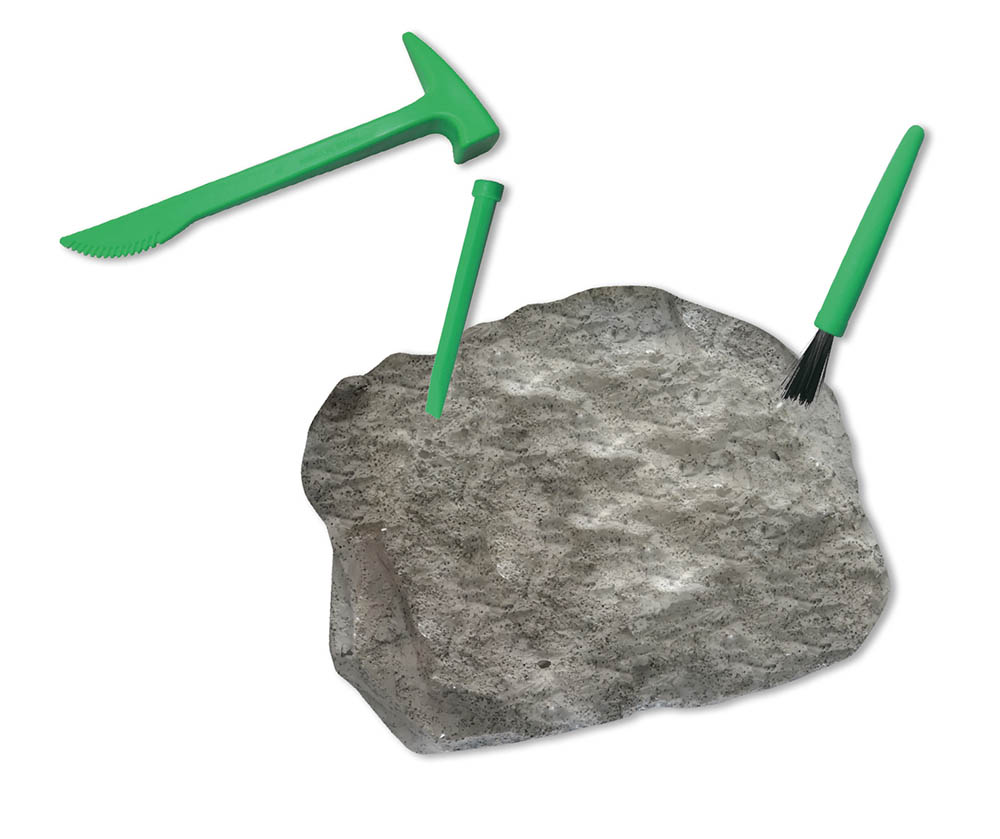 Mon Coffret De Chercheur De Dino