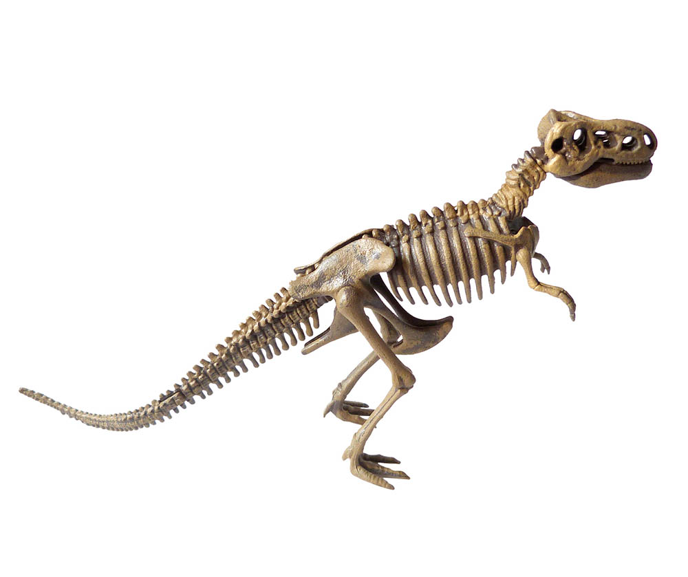 MON COFFRET DE CHERCHEUR DE DINO