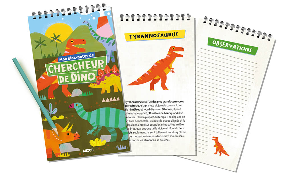 Mon Coffret De Chercheur De Dino