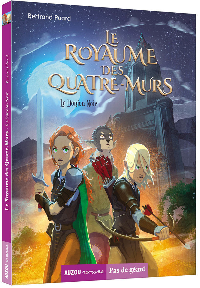 Le Royaume Des Quatre-Murs - Le Donjon Noir Le Royaume Des Quatre-Murs - Le Donjon Noir
