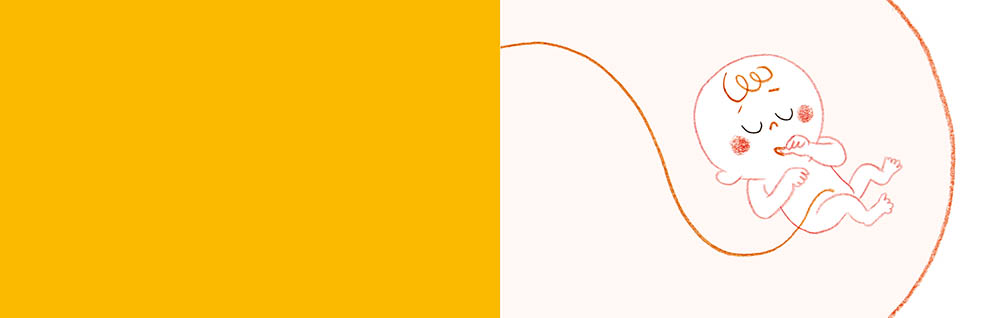 Dans Le Ventre De Maman Dans Le Ventre De Maman