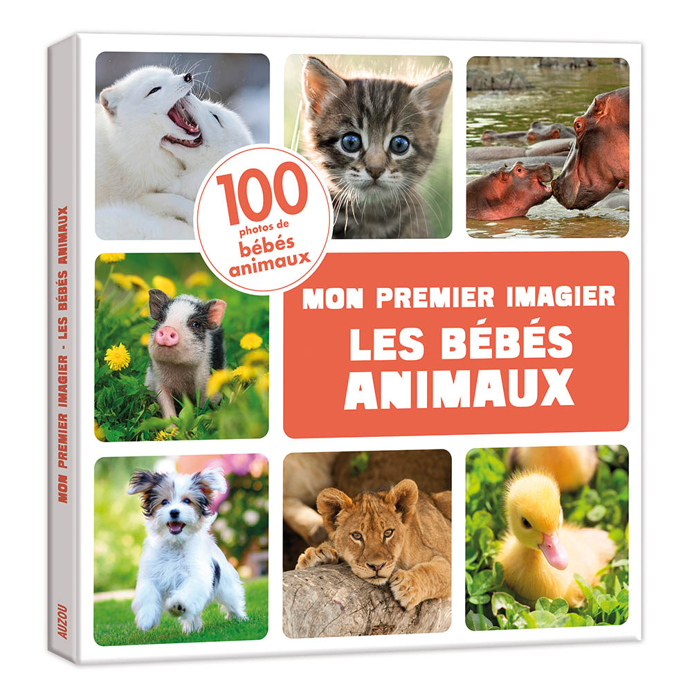 Les Bébés Animaux