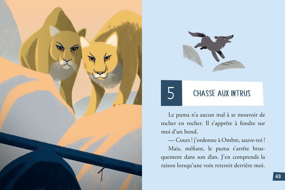 L'appel Des Loups Tome 5 - L'épreuve De La Forêt