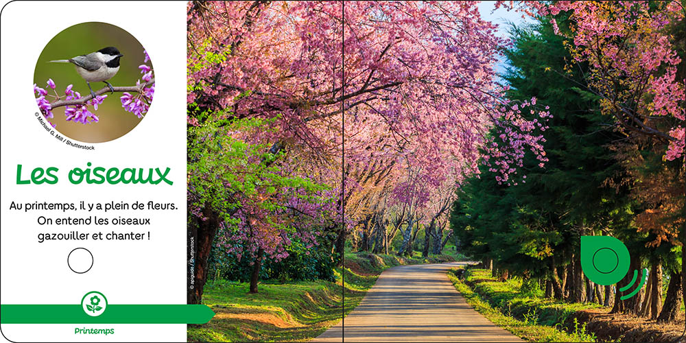 Les Saisons Les Saisons