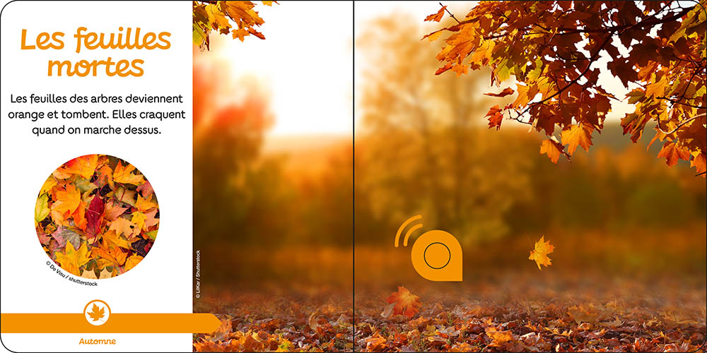 Les Saisons Les Saisons