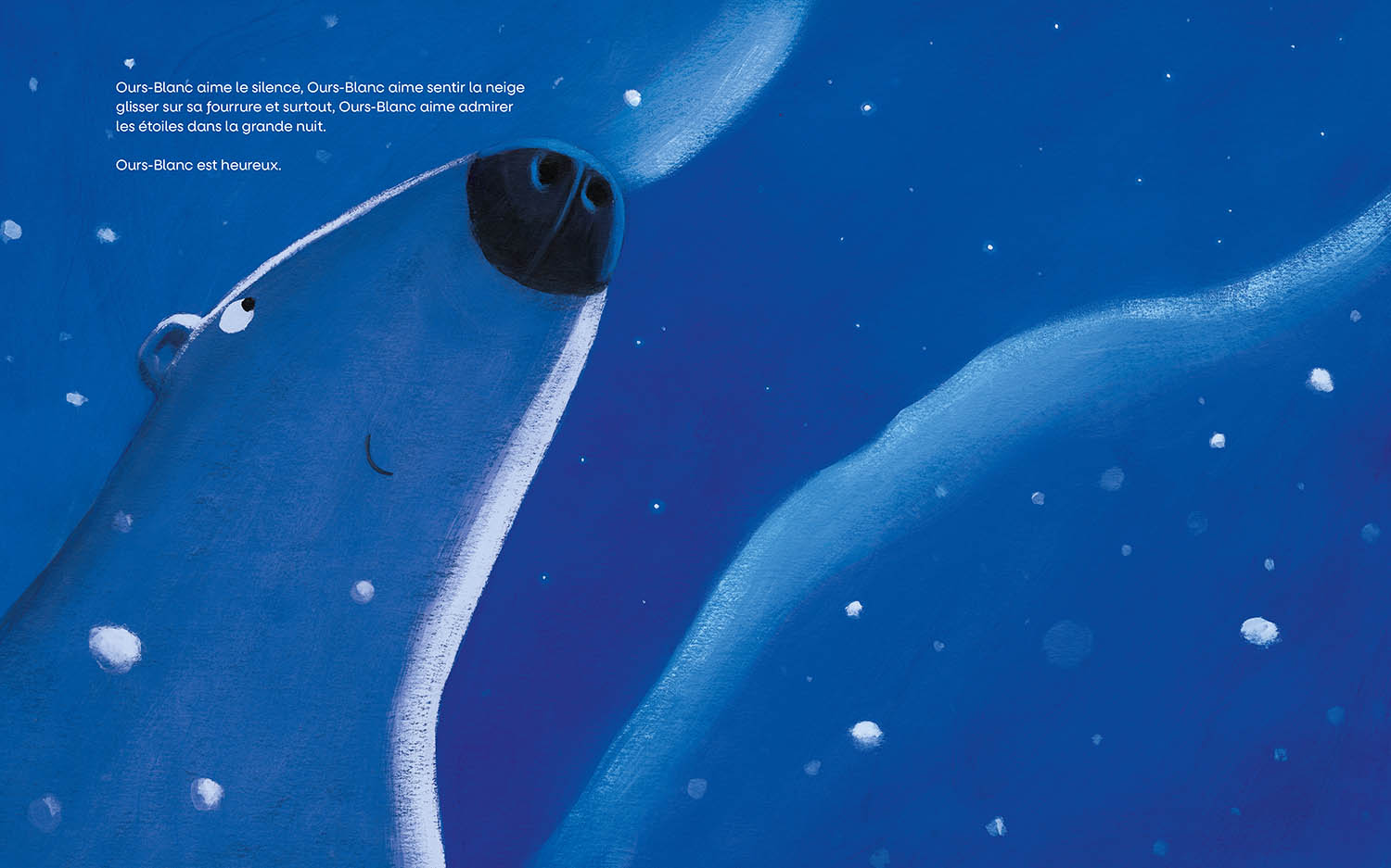 Un Ami Tombé Du Ciel