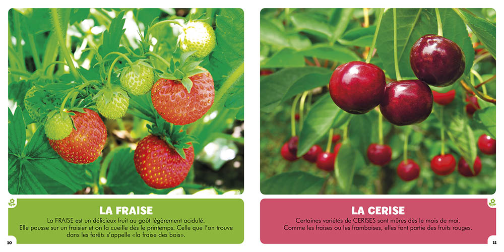 Mon Premier Imagier Les Fruits Et Les Légumes