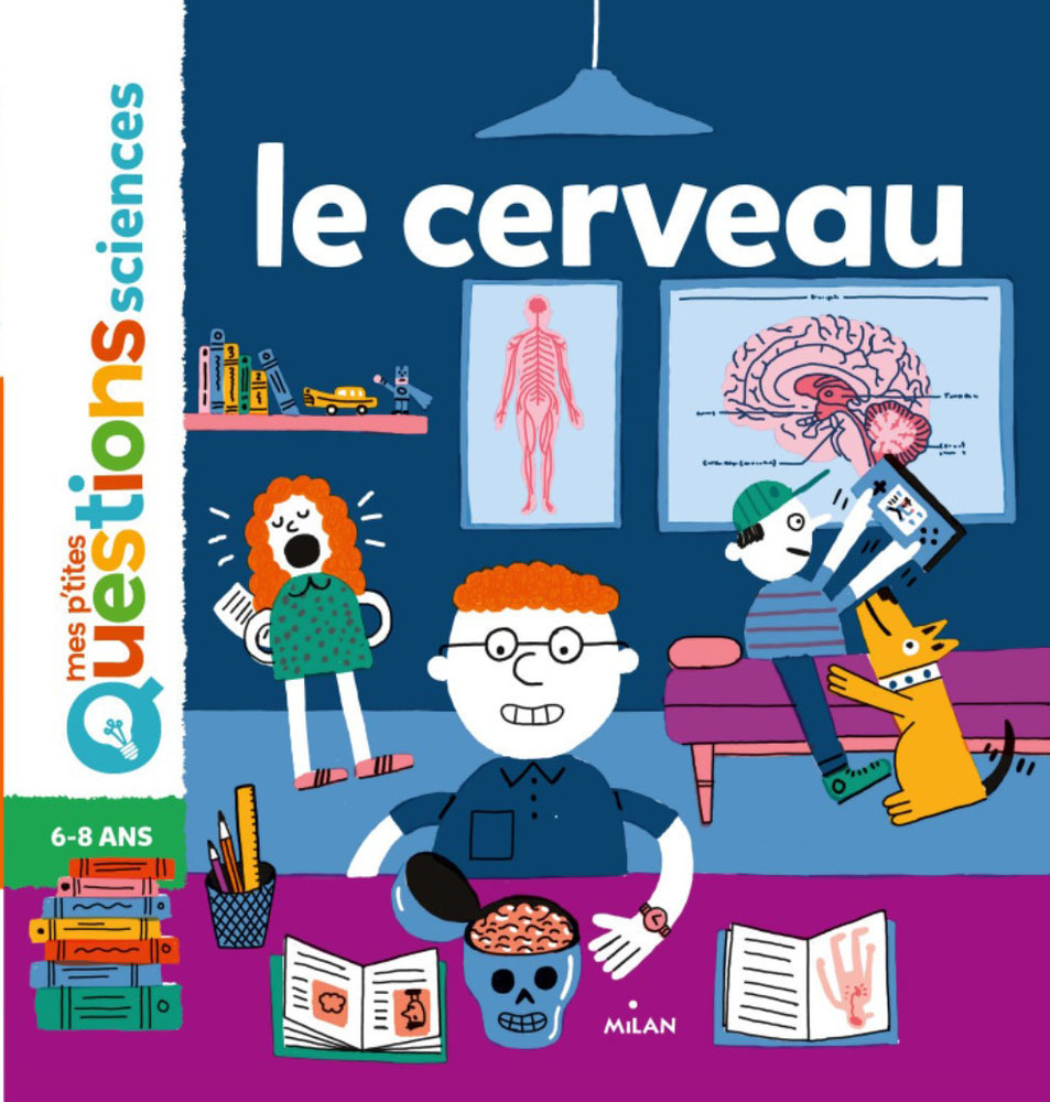 LE CERVEAU