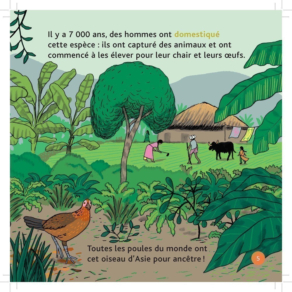 LA POULE