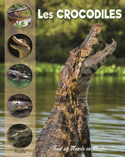 LES CROCODILES ET AUTRES CROCODILIENS