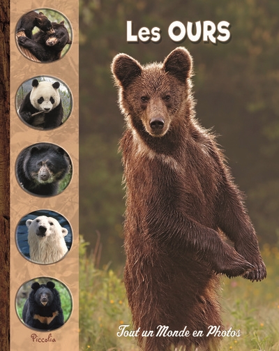 LES OURS