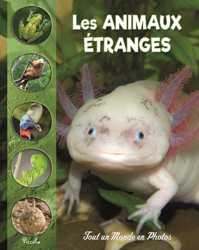 ANIMAUX ETRANGES ET MECONNUS