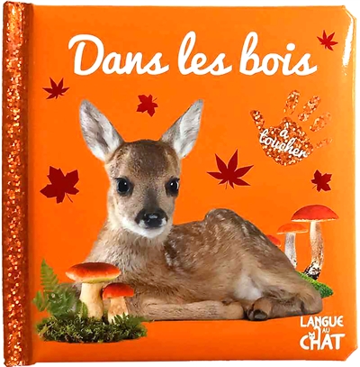 DANS LES BOIS : A TOUCHER