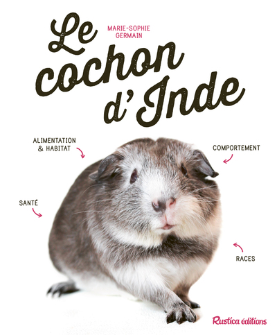Le cochon d