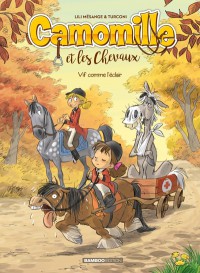 Voir les images