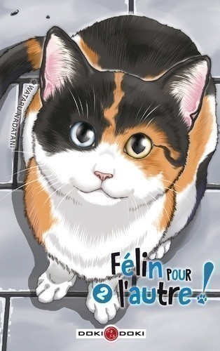 FELIN POUR L