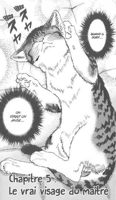 FELIN POUR L