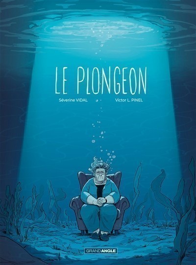 LE PLONGEON