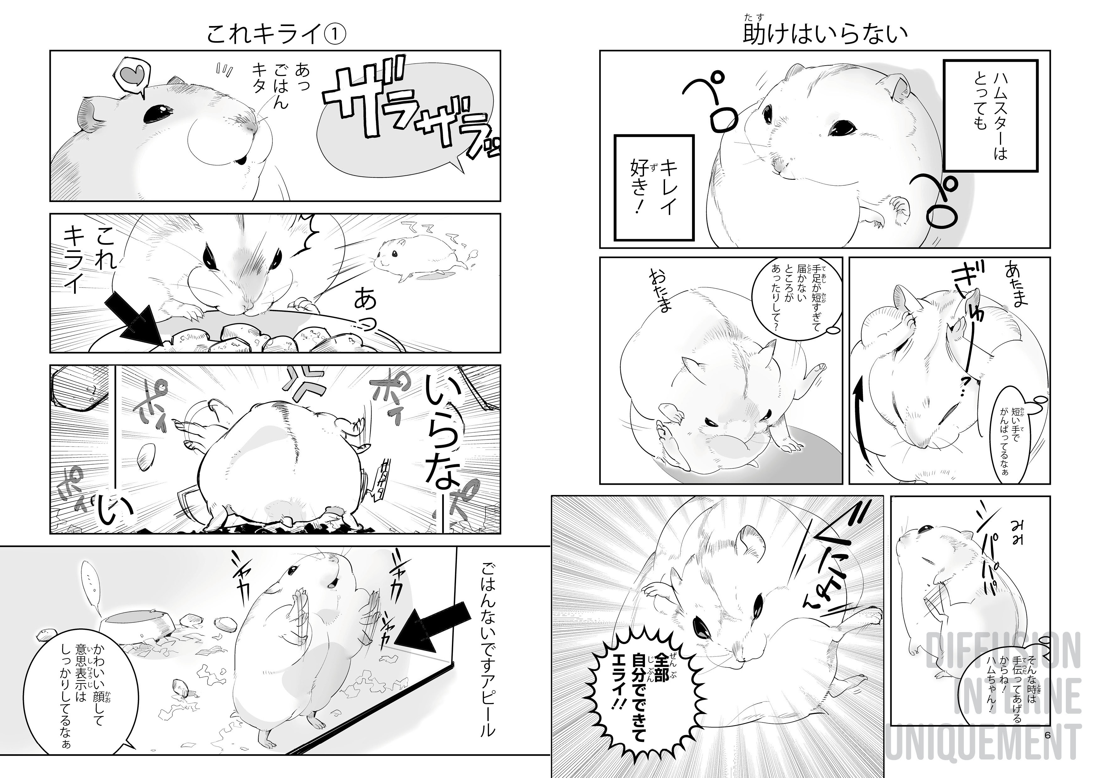 HAMSTER ET BOULE DE GOMME 