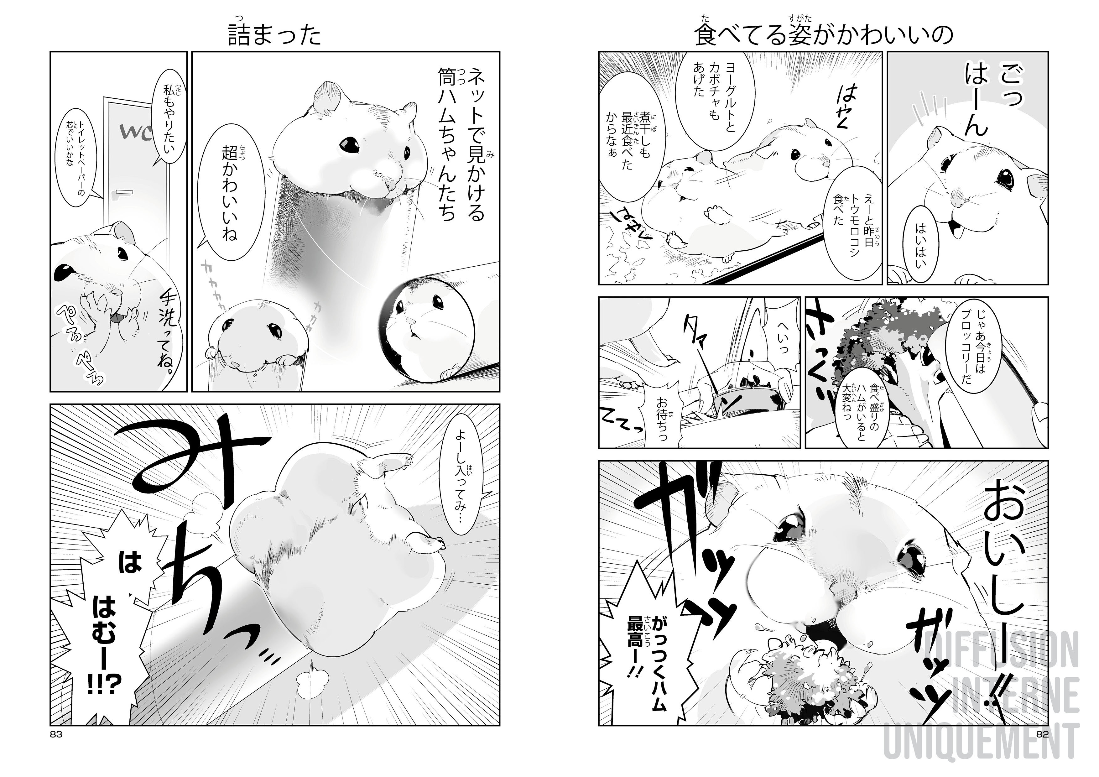 HAMSTER ET BOULE DE GOMME 