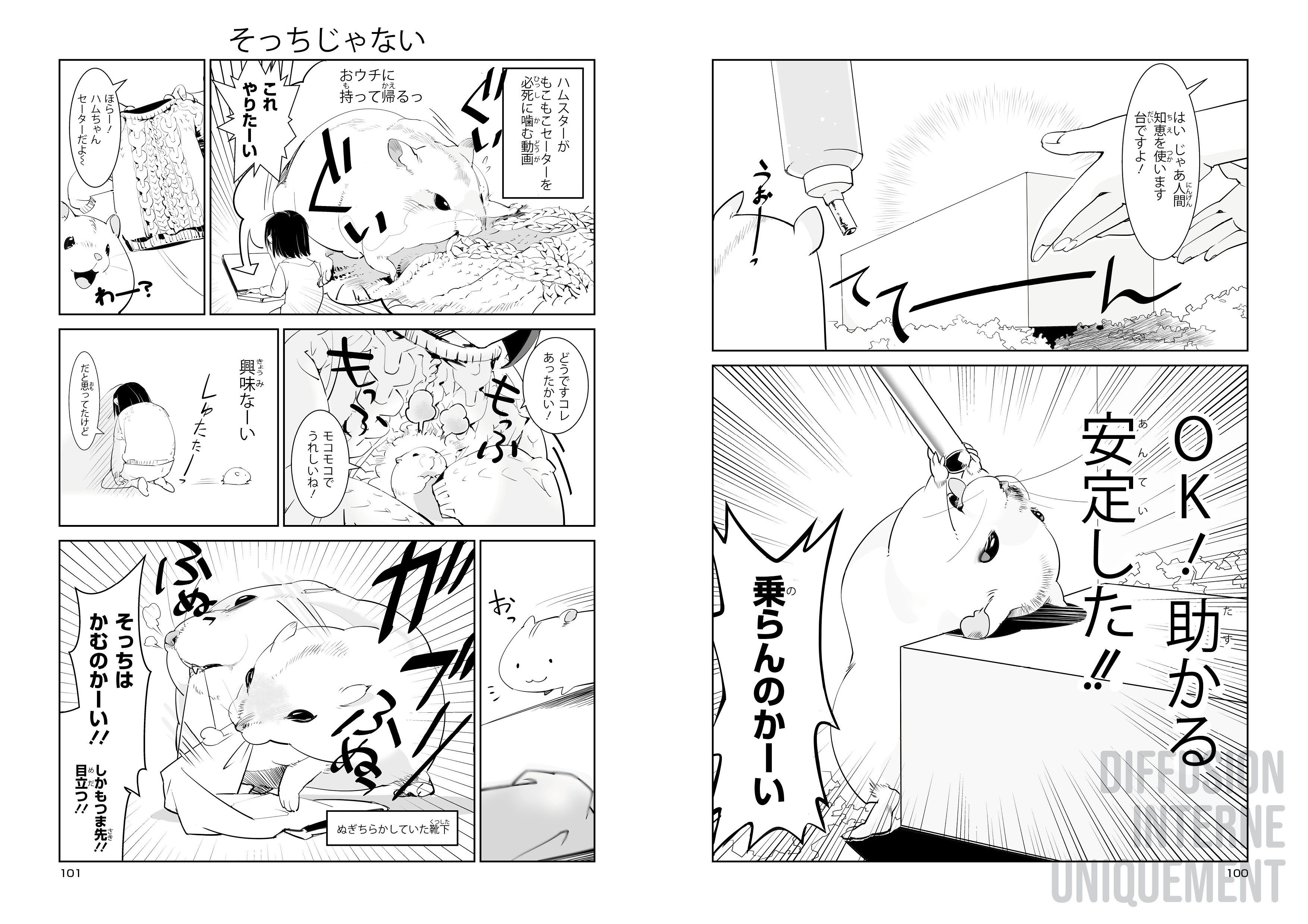 HAMSTER ET BOULE DE GOMME HAMSTER ET BOULE DE GOMME