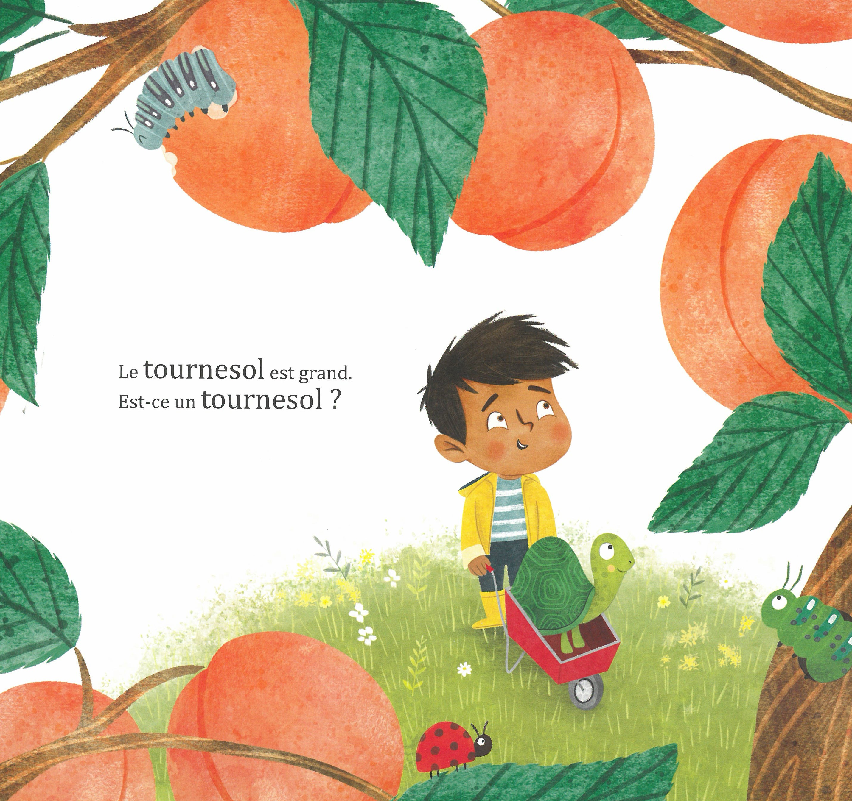 LE JARDIN PARTAGE DE MIGUEL